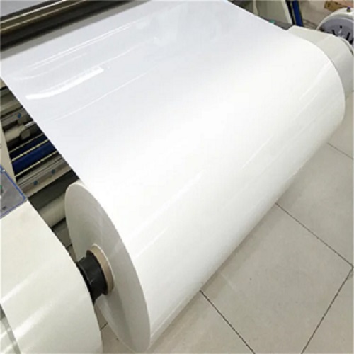 Khám phá bộ phim thú cưng màu trắng Tàu trắng hay nhất tại Thâm Quyến Quảngddayuan